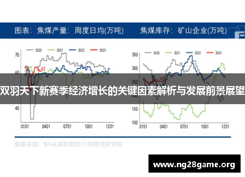 双羽天下新赛季经济增长的关键因素解析与发展前景展望