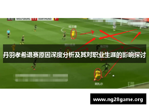 丹羽孝希退赛原因深度分析及其对职业生涯的影响探讨