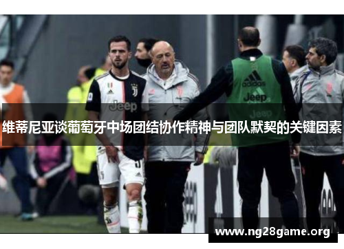 维蒂尼亚谈葡萄牙中场团结协作精神与团队默契的关键因素