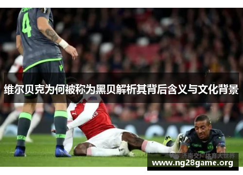 维尔贝克为何被称为黑贝解析其背后含义与文化背景