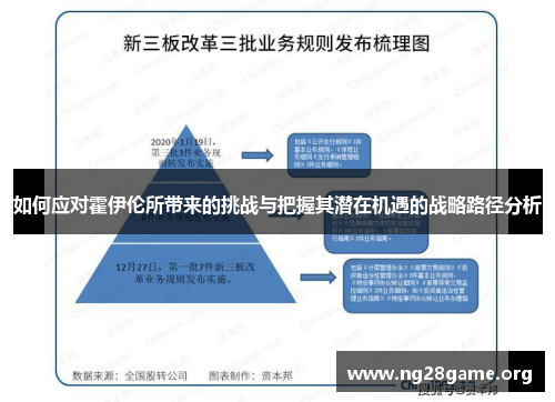 如何应对霍伊伦所带来的挑战与把握其潜在机遇的战略路径分析