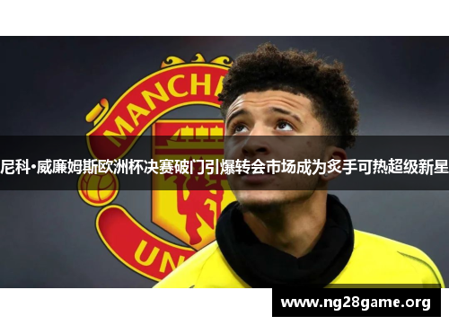 尼科·威廉姆斯欧洲杯决赛破门引爆转会市场成为炙手可热超级新星