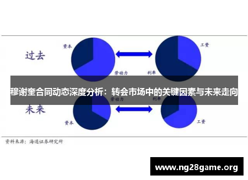 穆谢奎合同动态深度分析：转会市场中的关键因素与未来走向